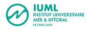 Logo_IUML